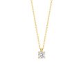 Gouden collier LG 0.20 LG3001Y