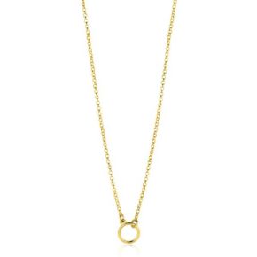 Zinzi collier verguld ZIC2523G